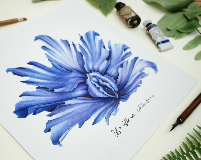 Blue Stormy Yoni Flower Fine Art Watercolor Print / Feminist Botanical Illustration / Vulva / Vagina / Divine Feminine / Sacred / Erotic/ image 6