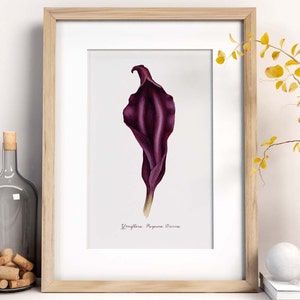 Purple Divine Yoni Flower Fine Art Print / Feminist Botanical Lily Illustration / Vulva / Vagina Art / Feminine / Sacred / Erotic/ image 2