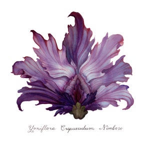 Purple Stormy Dawn Yoni Flower Fine Art Print / Feminist Botanical Illustration / Vulva / Vagina Art / Divine Feminine / Sacred / Erotic/ image 2
