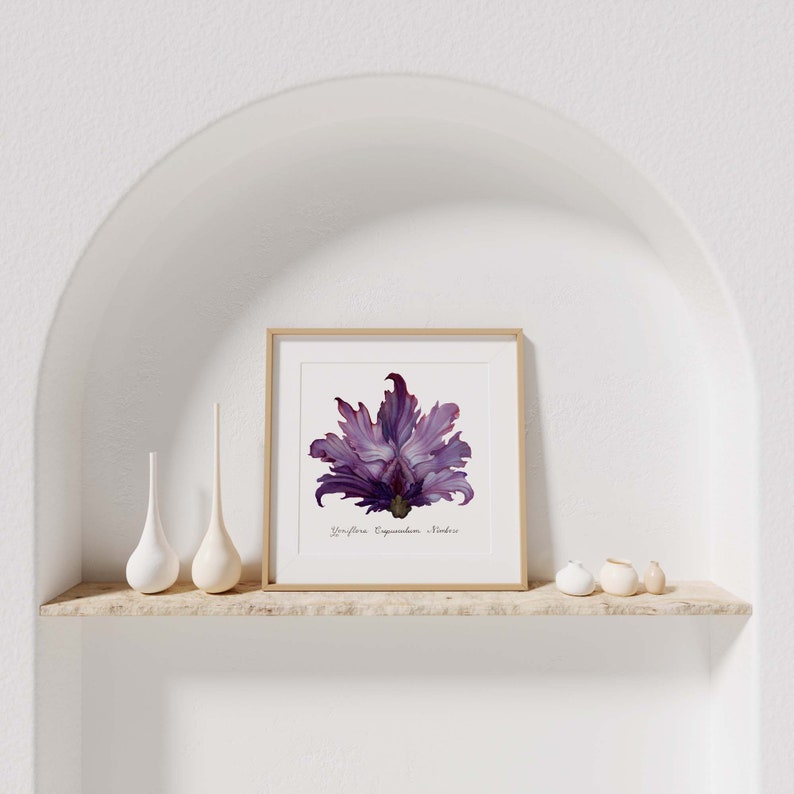 Purple Stormy Dawn Yoni Flower Fine Art Print / Feminist Botanical Illustration / Vulva / Vagina Art / Divine Feminine / Sacred / Erotic/ image 7
