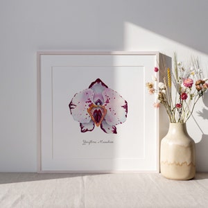 Pink Spotted Yoni Flower Fine Art Print / Feminist Botanical Orchid Illustration / Vulva / Vagina / Divine Feminine / Sacred / Erotic/ image 3