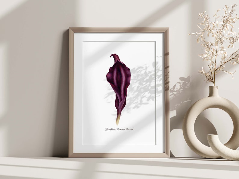 Purple Divine Yoni Flower Fine Art Print / Feminist Botanical Lily Illustration / Vulva / Vagina Art / Feminine / Sacred / Erotic/ image 7