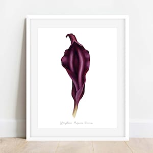Purple Divine Yoni Flower Fine Art Print / Feminist Botanical Lily Illustration / Vulva / Vagina Art / Feminine / Sacred / Erotic/ image 1