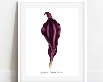 Purple "Divine Yoni Flower" Fine Art Print / Feminist Botanical Lily Illustration / Vulva / Vagina Art / Feminine / Sacred / Erotic/