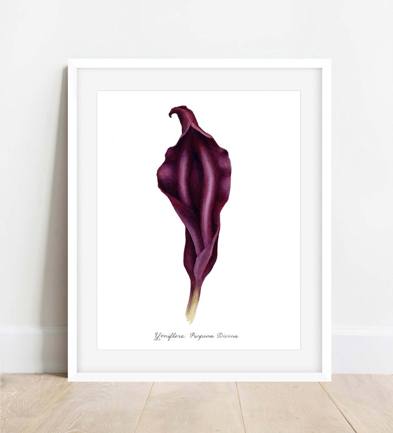 Purple Divine Yoni Flower Fine Art Print / Feminist Botanical Lily Illustration / Vulva / Vagina Art / Feminine / Sacred / Erotic/ image 1