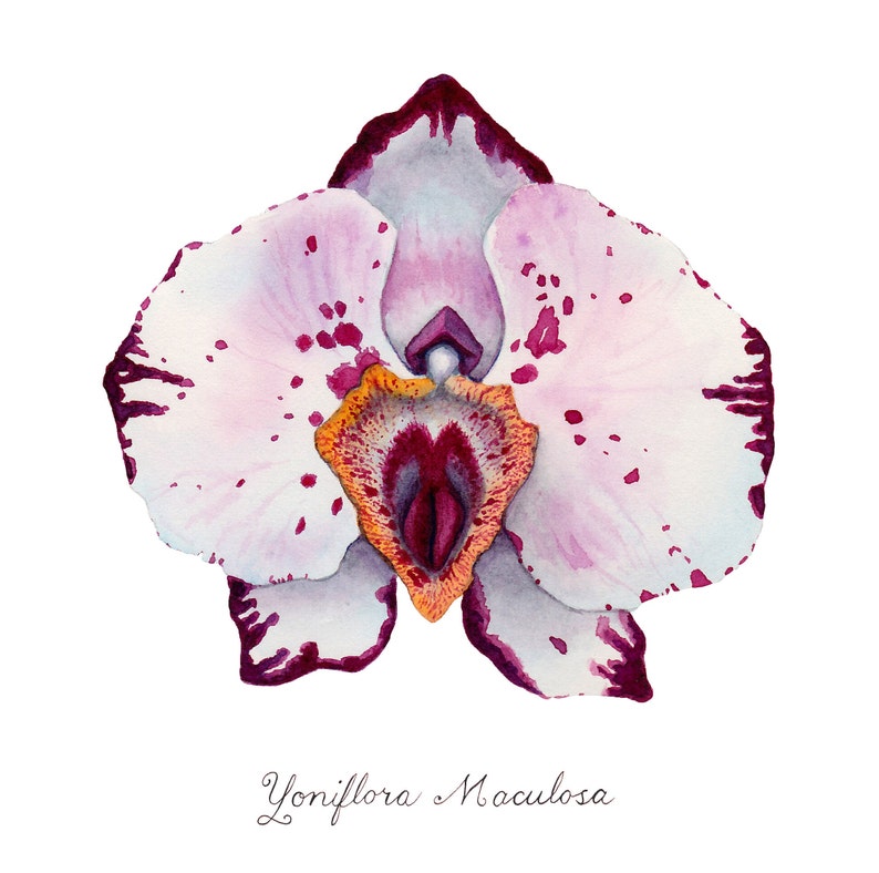 Pink Spotted Yoni Flower Fine Art Print / Feminist Botanical Orchid Illustration / Vulva / Vagina / Divine Feminine / Sacred / Erotic/ image 2