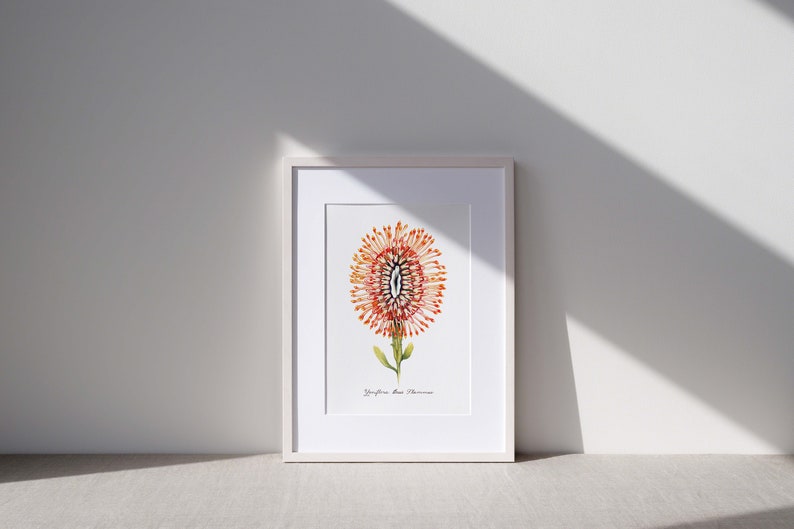 Orange Nadelflamme Yoni Blume Kunstdruck / Feministische botanische Illustration / Vulva / Vagina / göttlich feminin / Heilig / Erotik/ Bild 6