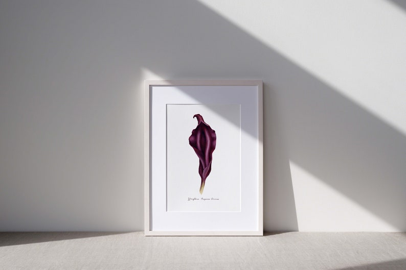 Purple Divine Yoni Flower Fine Art Print / Feminist Botanical Lily Illustration / Vulva / Vagina Art / Feminine / Sacred / Erotic/ image 6