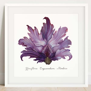 Purple Stormy Dawn Yoni Flower Fine Art Print / Feminist Botanical Illustration / Vulva / Vagina Art / Divine Feminine / Sacred / Erotic/ image 1