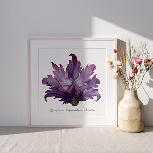 Purple Stormy Dawn Yoni Flower Fine Art Print / Feminist Botanical Illustration / Vulva / Vagina Art / Divine Feminine / Sacred / Erotic/ image 3