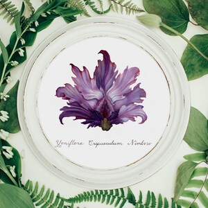 Purple Stormy Dawn Yoni Flower Fine Art Print / Feminist Botanical Illustration / Vulva / Vagina Art / Divine Feminine / Sacred / Erotic/ image 6