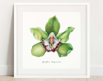 Green "Bleeding Yoni Flower" Fine Art Print / Feminist Botanical Illustration / Vulva / Vagina Art / Divine Feminine / Sacred Erotic/