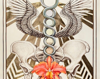 Kundalini Yoni Flower Painting  •  Shakti Wings •  • Divine Feminine Watercolor  •  Giclee Print with 24k Gold Leaf  •  Feminist Vulva Art
