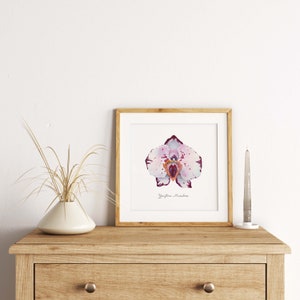 Pink Spotted Yoni Flower Fine Art Print / Feminist Botanical Orchid Illustration / Vulva / Vagina / Divine Feminine / Sacred / Erotic/ image 5