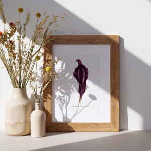 Purple Divine Yoni Flower Fine Art Print / Feminist Botanical Lily Illustration / Vulva / Vagina Art / Feminine / Sacred / Erotic/ image 5