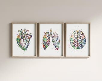 Doctor Office Printable Watercolor Art: Set of 3 Anantomical Organs Digital Posters