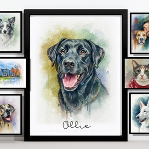 May include: A framed watercolor portrait of a black Labrador Retriever with its tongue out, named Ollie. Surrounding it are framed watercolor portraits of other pets and a landscape.