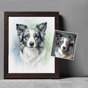 May include: Watercolor painting of a Border Collie dog with blue and brown eyes, framed in a dark wood frame. A smaller print of the same dog is next to the framed painting. The dog has gray and white fur.
