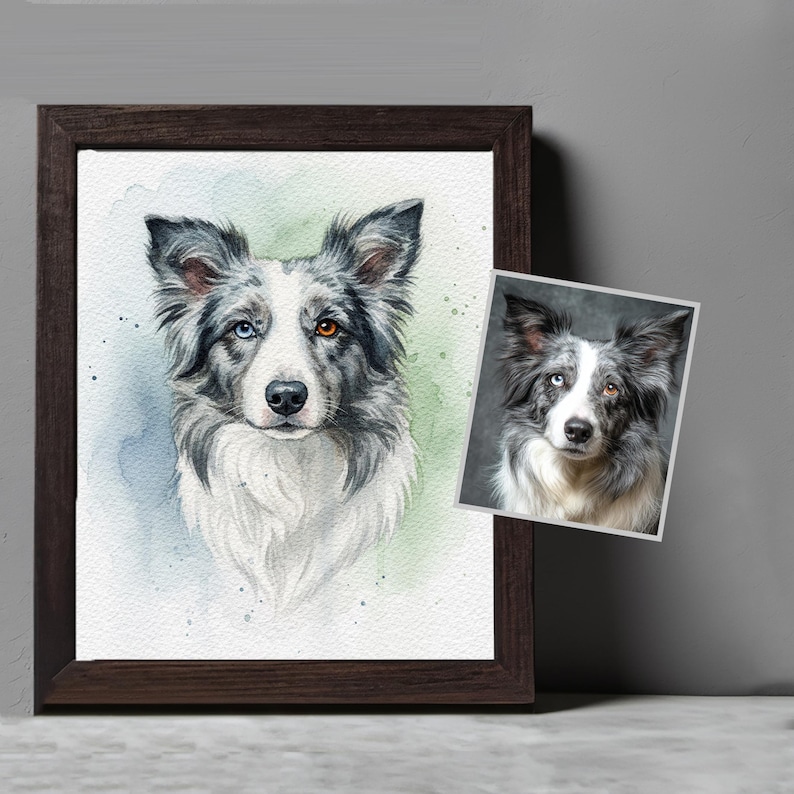May include: Watercolor painting of a Border Collie dog with blue and brown eyes, framed in a dark wood frame. A smaller print of the same dog is next to the framed painting. The dog has gray and white fur.