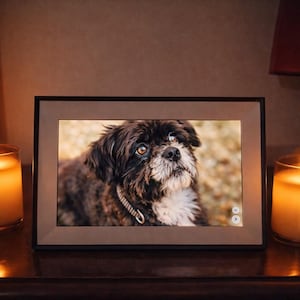 Peut inclure: Un cadre photo numérique affichant le portrait d'un chien, encadré de deux bougies allumées dans des supports en verre. Le chien a le pelage foncé et le museau clair. La scène se déroule sur une surface en bois sombre.