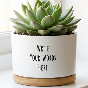 May include: A white ceramic plant pot with the text "Write Your Words Here" in black, containing a green succulent. The pot rests on a round, light-coloured wooden base, positioned on a white windowsill.