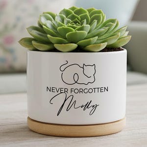 Op de afbeelding: Een witte keramische plantenpot met een groene vetplant. De pot heeft een zwarte kattenomtrek en de woorden "NEVER FORGOTTEN Molly" in zwart schrift. Hij staat op een ronde, lichtgekleurde houten basis.