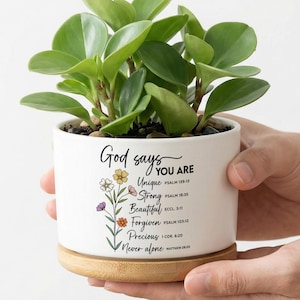 Puede incluir: Una maceta de cerámica blanca con una planta verde viva. La maceta tiene las palabras "Dios dice QUE ERES" y otras palabras inspiradoras con acentos florales. La maceta se asienta sobre una base de madera.