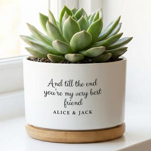 Może przedstawiać: Biała ceramiczna doniczka z zieloną rośliną sukulentową. Doniczka ma czarny napis "And till the end you're my very best friend ALICE & JACK". Doniczka stoi na drewnianym spodku.