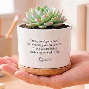 Personalized Goodbye Succulent Planter Pot,  Leaving Gift For Coworker Boss Friend New Job, Custom Name Farewell Gift