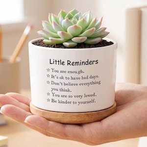Pode incluir: Um vaso de cerâmica branco com uma planta suculenta, repousando sobre um pires de madeira. O vaso tem o texto "Little Reminders" e citações inspiradoras. A suculenta tem folhas verdes e rosa.