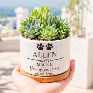 May include: A white ceramic cylindrical planter containing a cluster of green succulents. The planter features black text reading ALLEN, the dates 2010-2026, and the phrase You left paw prints on our heart, with two paw print icons above the name.