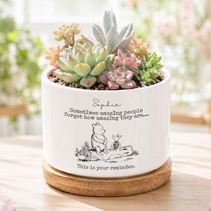 May include: A white ceramic planter containing a variety of green and pink succulents, resting on a circular bamboo base. The planter features the name Sophia, a black ink illustration of Winnie the Pooh and Piglet, and the text: Sometimes amazing people forget how amazing they are... This is your reminder.