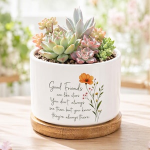 Op de afbeelding: Een cilindervormige witte keramische plantenbak met diverse kleine vetplanten. De plantenbak is bedrukt met een oranje bloem en de tekst: Good Friends are like stars. You don't always see them but you know they're always there. Het staat op een ronde houten basis.