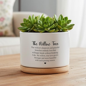 Puede incluir: Una maceta de cerámica blanca con el texto "The Willow Tree" y una cita sobre el amor. La maceta contiene varias suculentas verdes y se asienta sobre un platillo redondo de madera clara. La maceta está sobre una mesa de madera.