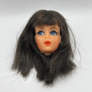 Dramatic New Living Barbie Doll - Etsy