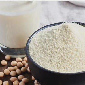 Organic Vanilla Soy Milk Powder | Dairy-Free Plant-Based Drink Mix (Instant)