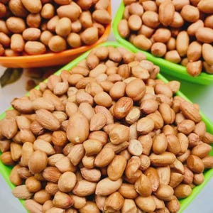 May include: Close-up of shelled peanuts in orange and green square containers. The peanuts are light brown and tan, with some showing their skin. The containers are filled to the top with the peanuts.