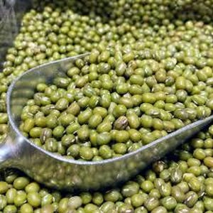 May include: A metal scoop filled with green mung beans, surrounded by more of the same beans. The beans are a mix of light and dark green, with a slightly oval shape. The scoop is silver and has a curved handle.