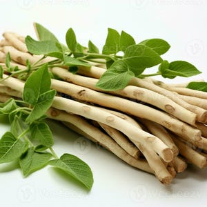 Puede incluir: Un haz de tallos le&ntilde;osos de color claro con hojas verdes. Los tallos est&aacute;n dispuestos en un mont&oacute;n compacto, con las hojas intercaladas. La imagen est&aacute; bien iluminada, resaltando los colores y texturas naturales del material vegetal.