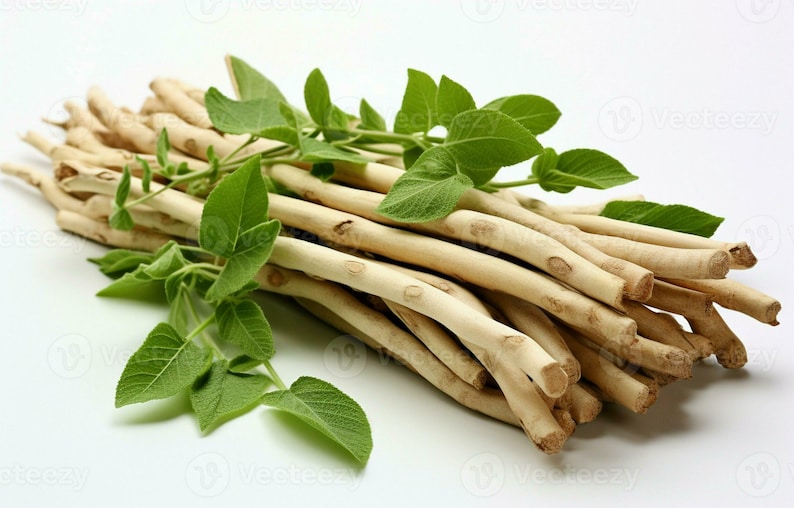 Puede incluir: Un haz de tallos le&ntilde;osos de color claro con hojas verdes. Los tallos est&aacute;n dispuestos en un mont&oacute;n compacto, con las hojas intercaladas. La imagen est&aacute; bien iluminada, resaltando los colores y texturas naturales del material vegetal.