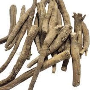 Raíces secas de Ashwagandha / Withania Somnifera, ingrediente botánico herbal imagen 3