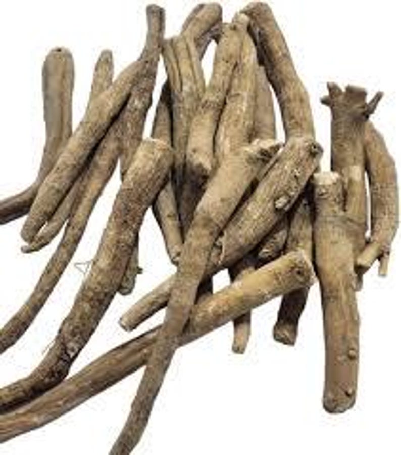Raíces secas de Ashwagandha / Withania Somnifera, ingrediente botánico herbal imagen 3