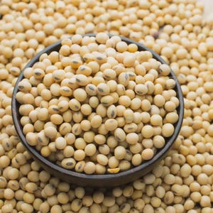 Può includere: Una ciotola di legno scuro piena di semi di soia, circondata da un mucchio più grande degli stessi semi. I semi di soia sono di colore marrone chiaro, con una piccola macchia nera su ogni seme. L'immagine è ben illuminata, mostrando la consistenza dei semi.