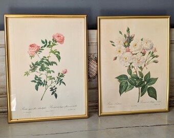 Set of 2 French Vintage Floral Rose Prints, Flowers, Floral painting, Cottage Decor, Framed, Shabby chic, French Brocante  6187