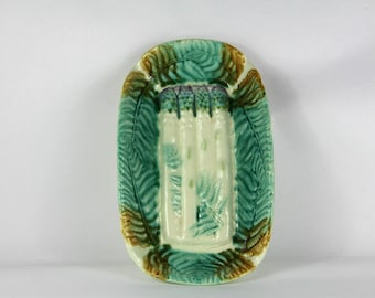 French Antique Asparagus Platter, Majolica, Salins Barbotine