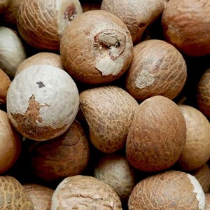 以下が含まれることがあります： さまざまな形と質感が特徴のビンロウジュの実の山をクローズアップ。実は薄いタン色から濃い茶色まであり、表面がざらざらしたものもあります。画像は、サイズと色の自然なバリエーションを強調しています。