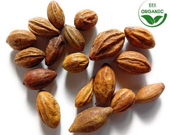 Semillas y polvo de haritaki orgánico: Terminalia chebula secada al sol