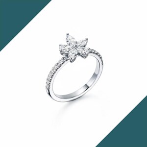 May include: A silver ring featuring a flower design. The flower is composed of six marquise-cut gemstones. The band is encrusted with small, round gemstones. The ring is set against a white background.