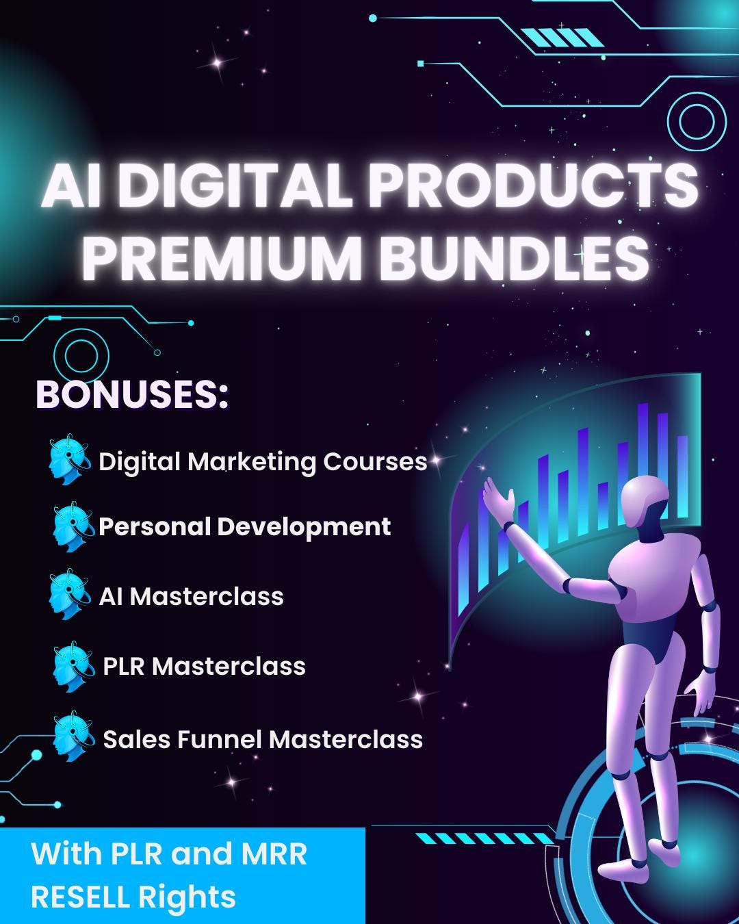 AI Premium Bundles Plus Digital Marketing and Personal Development E ...