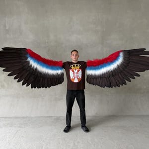 May include: Large decorative wings featuring a gradient of red, white, and blue feathers transitioning into solid black tips. The wings are worn with a brown t-shirt displaying a gold crown and a white shield with a red cross and four firesteels.